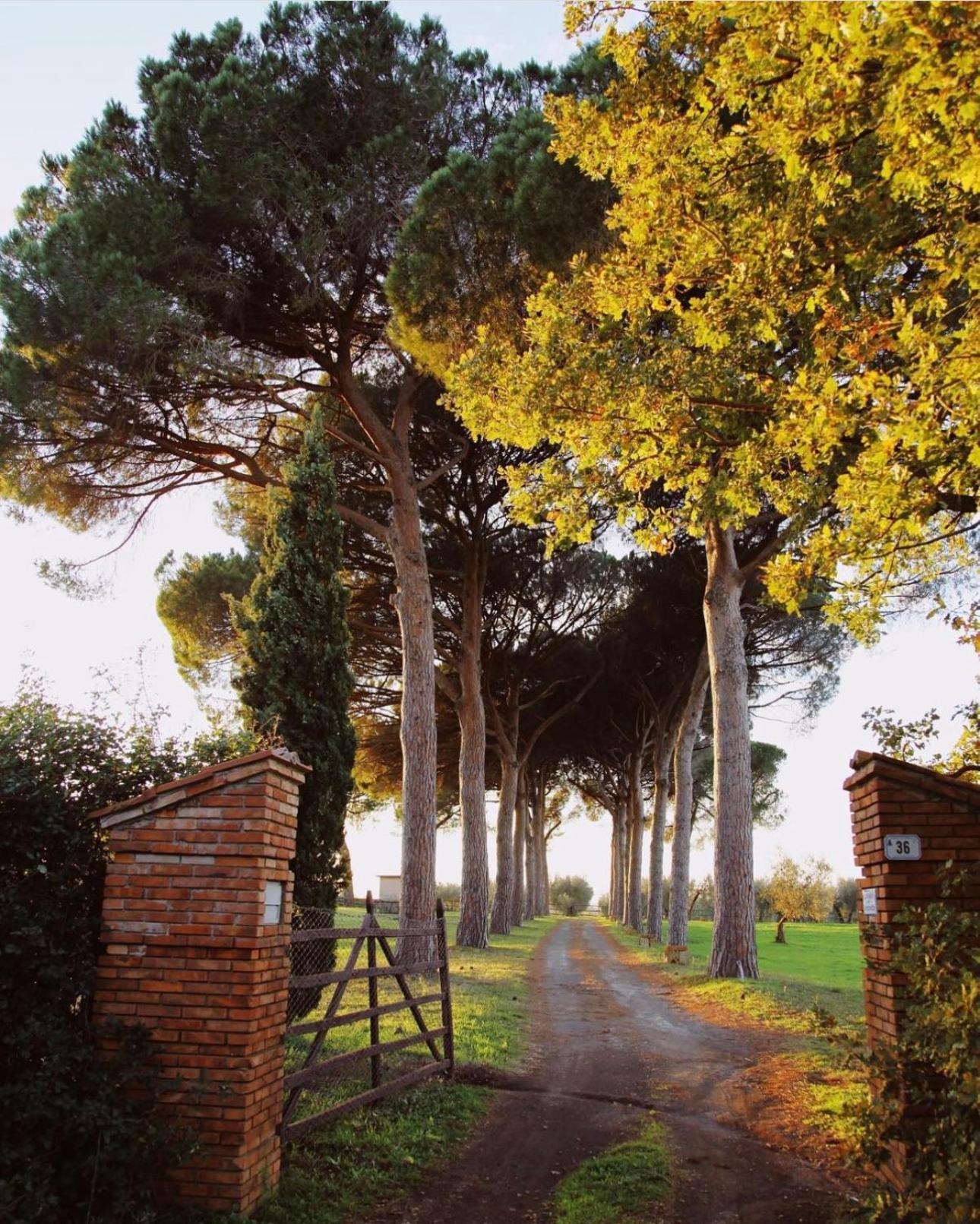 Tenuta Di Paternostro Vetralla Exterior photo
